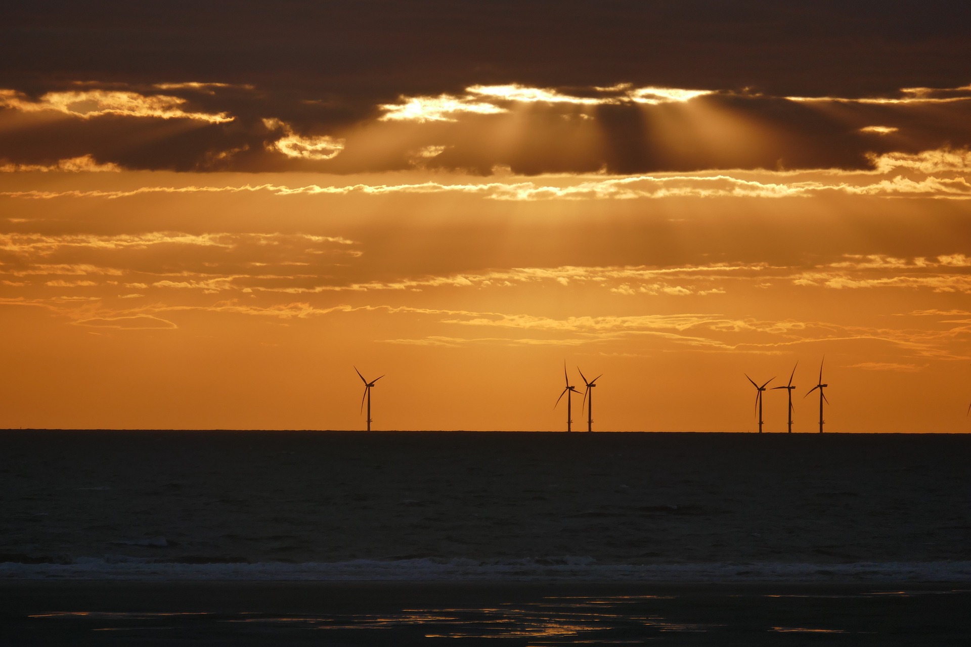 A picture of offshore wind turbines at sunset